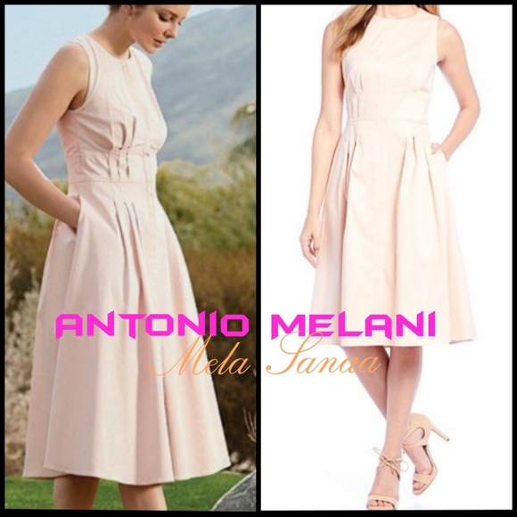 ANTONIO MELANI Dresses & Skirts - ANTONIO MELANI Light Pink Pleated A-Line DressS:10